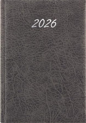 Naptár, tervező, A5, napi, DAYLINER, "Rebel", szürke